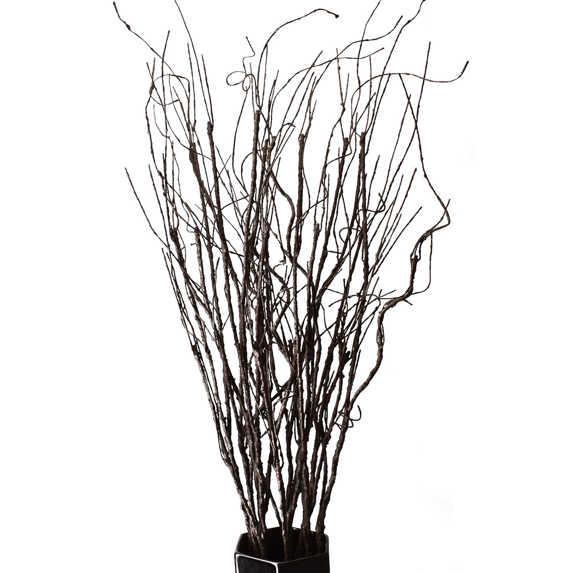 FeiLix 10PCS Dried Artificial  - Branch Curly Willow review and price
